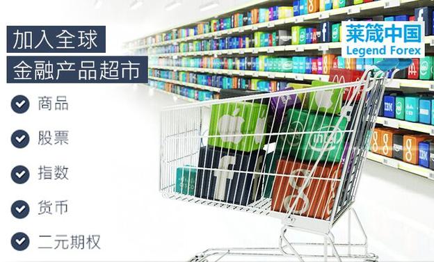上海莱箴商务信息咨询